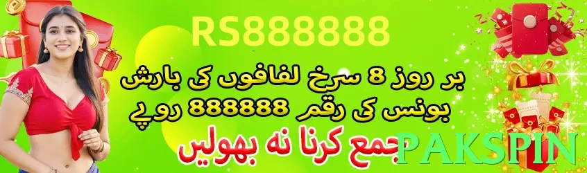 pakspin Pakistan - 3